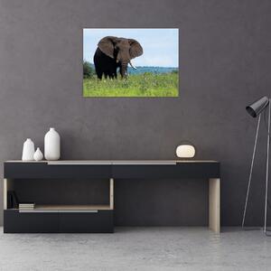 Tablou pe sticlă cu elefant (70x50 cm)