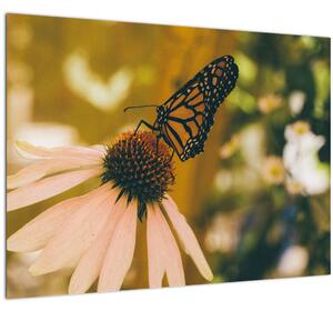 Tablou pe sticlă cu fluture pe floare (70x50 cm)
