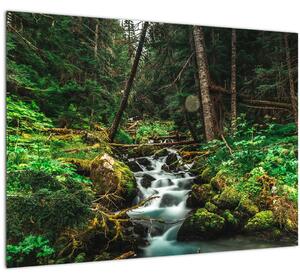 Tablou pe sticlă cu pârău în pădure (70x50 cm)