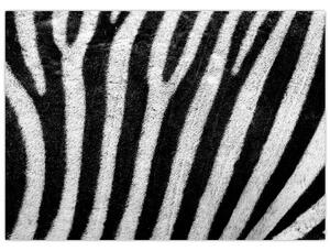Tablou cu piele de zebră (70x50 cm)