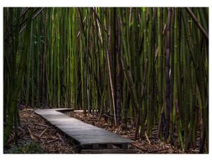 Tablou - Între bambus (70x50 cm)