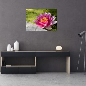 Tablou - Lotus (70x50 cm)