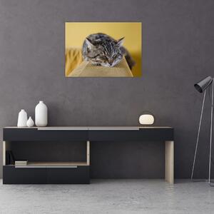 Tablou cu pisica pe fotoliu (70x50 cm)