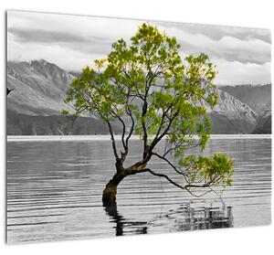 Tablou pe sticlă copacului în mijlocul lacului (70x50 cm)