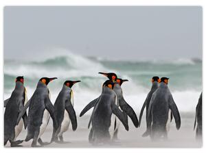Tablou pinguini în ocean (70x50 cm)