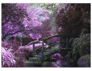 Tablou -cu grădina violetă (70x50 cm)