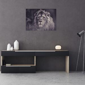 Tablou cu leu (70x50 cm)