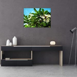Tablou - Plumeria (70x50 cm)