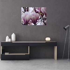 Tablou - Magnolie (70x50 cm)