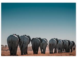 Tablou - Plecarea elefanților (70x50 cm)
