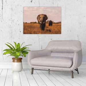 Tablou - Venirea elefantului (70x50 cm)
