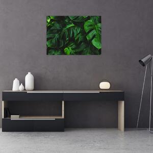 Tablou cu frunze Monstery (70x50 cm)