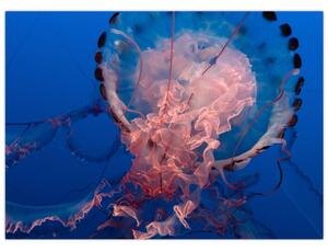 Tablou - Medusa (70x50 cm)