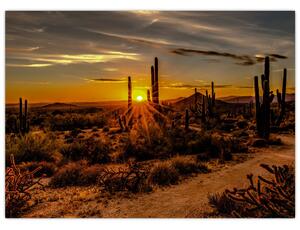 Tablou - Sfărșit de zi în deșertul Arizona (70x50 cm)