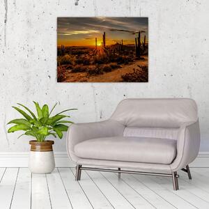 Tablou - Sfărșit de zi în deșertul Arizona (70x50 cm)