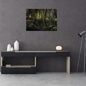 Tablou - Pădurea enigmatică (70x50 cm)