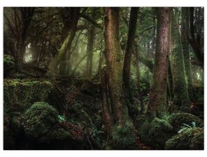 Tablou - Pădurea enigmatică (70x50 cm)