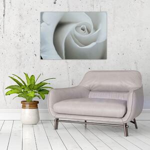 Tablou - Trandafirul alb (70x50 cm)