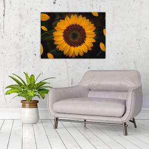 Tablou - Floarea soarelui și petale (70x50 cm)