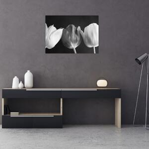 Tablou - Lalele alb negre (70x50 cm)