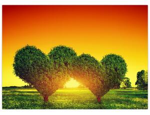 Tablou - Inima în coroanele copacilor (70x50 cm)