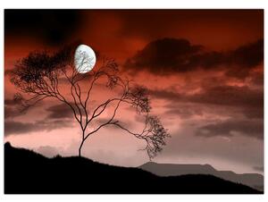 Tablou - Luna luminează noaptea (70x50 cm)