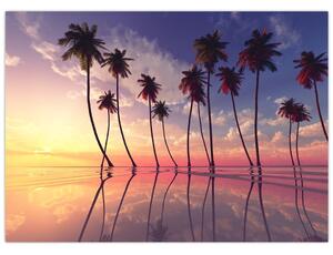 Tablou cu palmieri deasupra mării (70x50 cm)