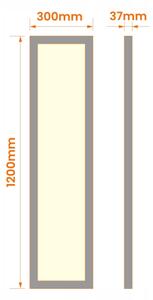 Panou LED aplicat 60 W, 230 V, 30 x 120 cm, alb