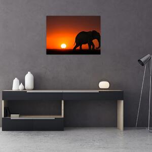 Tablou pe sticlă cu elefant în apus de soare (70x50 cm)