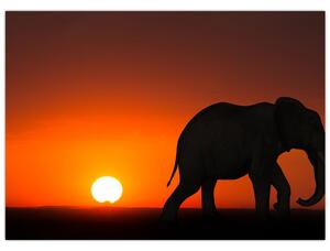Tablou cu elefant în apus de soare (70x50 cm)