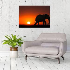 Tablou pe sticlă cu elefant în apus de soare (70x50 cm)