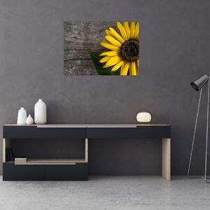 Tablou - Floare de floarea soarelui (70x50 cm)