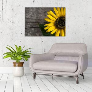 Tablou pe sticlă - Floare de floarea soarelui (70x50 cm)