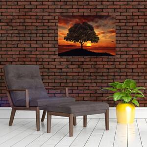 Tablou cu pomi și apus de soare (70x50 cm)