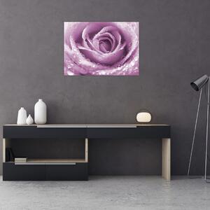 Tablou detaliu de floare de trandafir (70x50 cm)