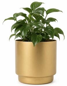 Ghiveci decorativ metalic Pufo Garden pentru flori, Ø 13.5 cm, auriu