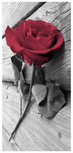 Fototapeta pentru ușă - Trandafirul roșu (95x205cm)