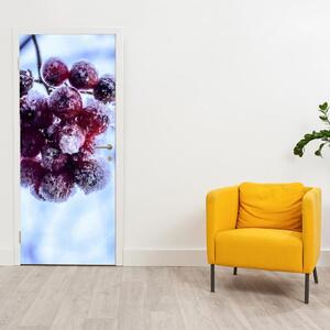 Fototapeta pentru ușă - fructe înghețate (95x205cm)