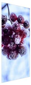Fototapeta pentru ușă - fructe înghețate (95x205cm)
