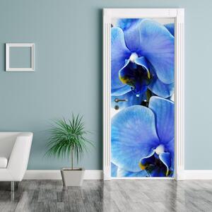 Fototapeta pentru ușă - trandafir albastru (95x205cm)