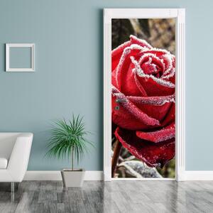Fototapeta pentru ușă - trandafir roșu înghețat (95x205cm)