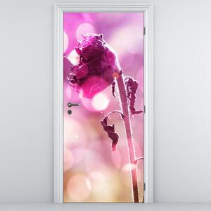 Fototapeta pentru ușă (95x205cm)
