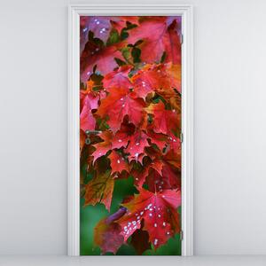 Fototapeta pentru ușă - frunze de toamnă (95x205cm)