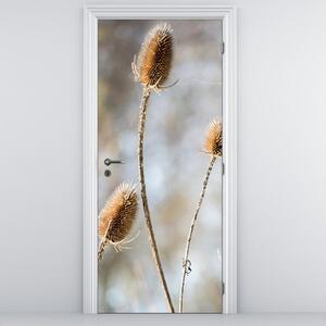 Fototapeta pentru ușă - flori de câmp uscate (95x205cm)