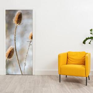Fototapeta pentru ușă - flori de câmp uscate (95x205cm)