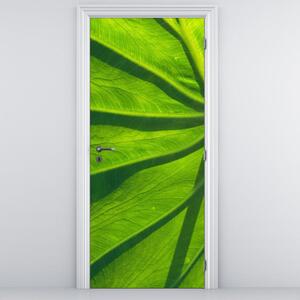 Fototapeta pentru ușă - frunze verzi (95x205cm)