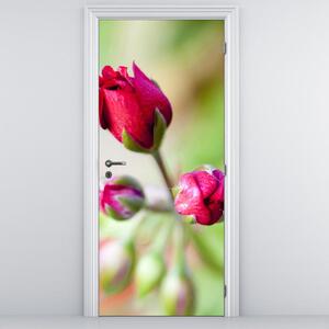 Fototapeta pentru ușă - floare de trandafir (95x205cm)