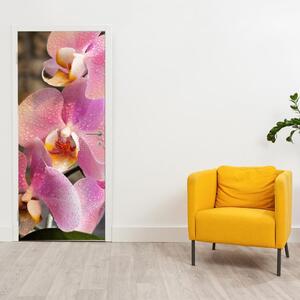 Fototapeta pentru ușă - orhidea (95x205cm)