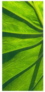Fototapeta pentru ușă - frunze verzi (95x205cm)