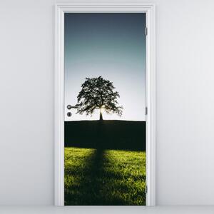 Fototapet pentru ușă - Copac (95x205cm)